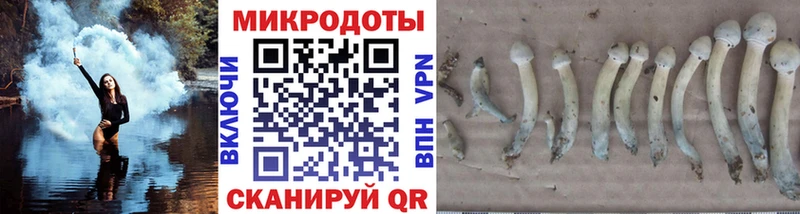 Псилоцибиновые грибы Cubensis  как найти   Венёв 