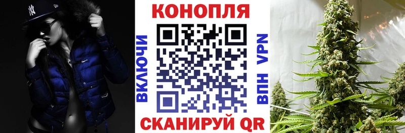 Бошки марихуана гибрид  нарко площадка формула  Венёв 